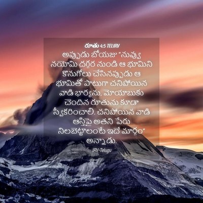 Picture 04 - రూతు 4:5 TELIRV - అప్పుడు బోయజు - Bible Verse Picture