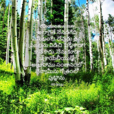 Picture 04 - రోమీయులకు 11:1 TELIRV - అలాగైతే నేనడిగేది - Bible Verse Picture