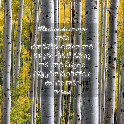 Picture 04 - రోమీయులకు 11:10 TELIRV - వారు చూడలేకుండేలా - Bible Verse Picture