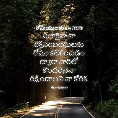 Picture 04 - రోమీయులకు 11:14 TELIRV - ఎలాగైనా నా - Bible Verse Picture