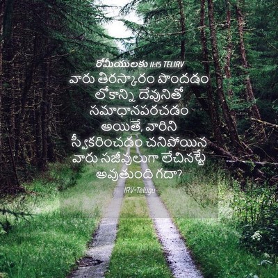 Picture 04 - రోమీయులకు 11:15 TELIRV - వారు తిరస్కారం - Bible Verse Picture
