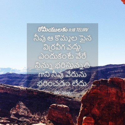 Picture 04 - రోమీయులకు 11:18 TELIRV - నీవు ఆ కొమ్మల పైన - Bible Verse Picture