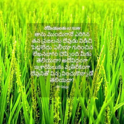 Picture 04 - రోమీయులకు 11:2 TELIRV - తాను ముందుగానే - Bible Verse Picture
