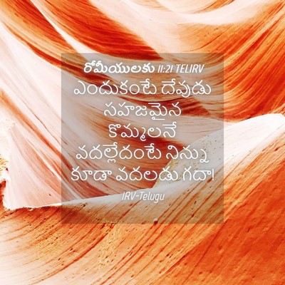 Picture 04 - రోమీయులకు 11:21 TELIRV - ఎందుకంటే దేవుడు - Bible Verse Picture
