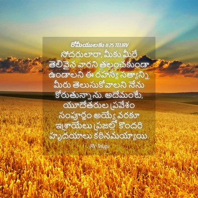 Picture 04 - రోమీయులకు 11:25 TELIRV - సోదరులారా, మీకు - Bible Verse Picture