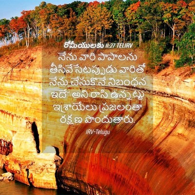 Picture 04 - రోమీయులకు 11:27 TELIRV - నేను వారి పాపాలను - Bible Verse Picture