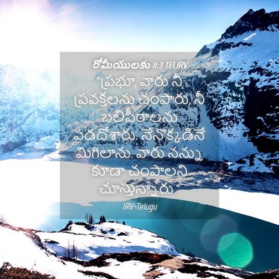 Picture 04 - రోమీయులకు 11:3 TELIRV - “ప్రభూ, వారు నీ - Bible Verse Picture