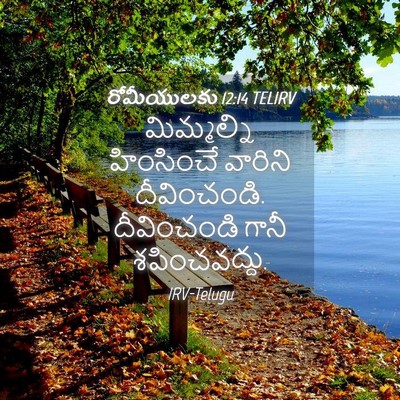 Picture 04 - రోమీయులకు 12:14 TELIRV - మిమ్మల్ని - Bible Verse Picture