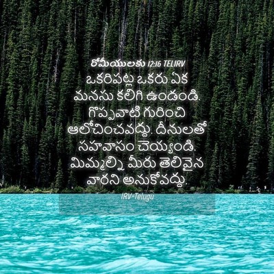 Picture 04 - రోమీయులకు 12:16 TELIRV - ఒకరిపట్ల ఒకరు ఏక - Bible Verse Picture