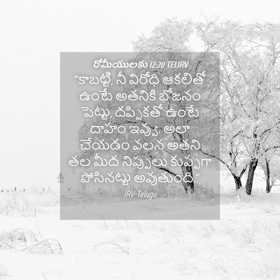 Picture 04 - రోమీయులకు 12:20 TELIRV - “కాబట్టి, నీ - Bible Verse Picture