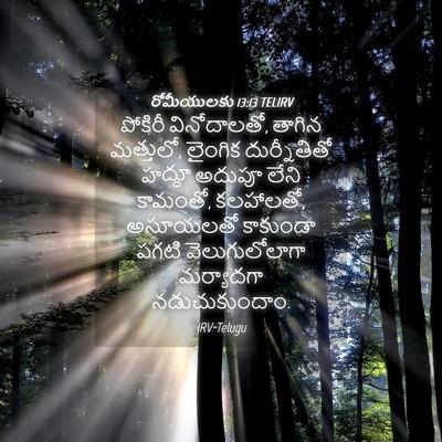 Picture 04 - రోమీయులకు 13:13 TELIRV - పోకిరీ వినోదాలతో, - Bible Verse Picture