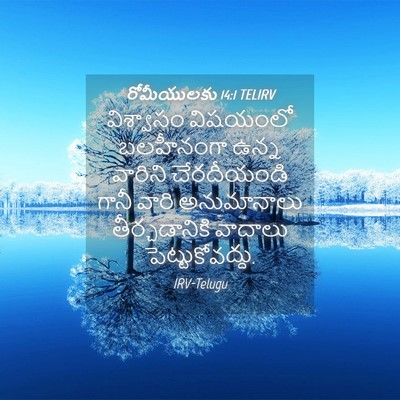 Picture 04 - రోమీయులకు 14:1 TELIRV - విశ్వాసం విషయంలో - Bible Verse Picture