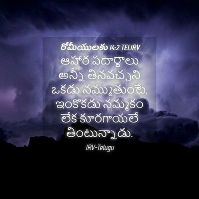 Picture 04 - రోమీయులకు 14:2 TELIRV - ఆహార పదార్ధాలు - Bible Verse Picture