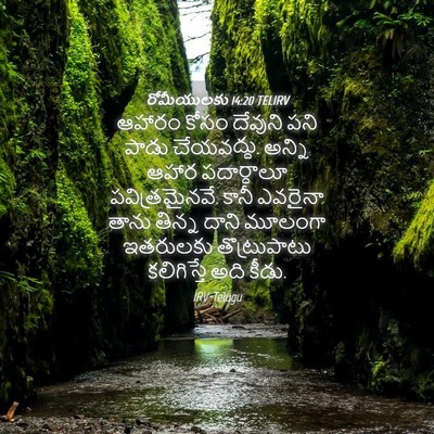 Picture 04 - రోమీయులకు 14:20 TELIRV - ఆహారం కోసం దేవుని - Bible Verse Picture
