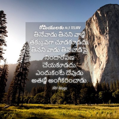 Picture 04 - రోమీయులకు 14:3 TELIRV - తినేవాడు తినని - Bible Verse Picture