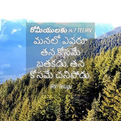 Picture 04 - రోమీయులకు 14:7 TELIRV - మనలో ఎవరూ తన కోసమే - Bible Verse Picture