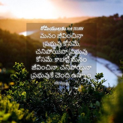 Picture 04 - రోమీయులకు 14:8 TELIRV - మనం జీవించినా - Bible Verse Picture