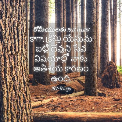 Picture 04 - రోమీయులకు 15:17 TELIRV - కాగా, క్రీస్తు - Bible Verse Picture