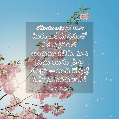 Picture 04 - రోమీయులకు 15:5 TELIRV - మీరు ఒకే మనసుతో ఏక - Bible Verse Picture
