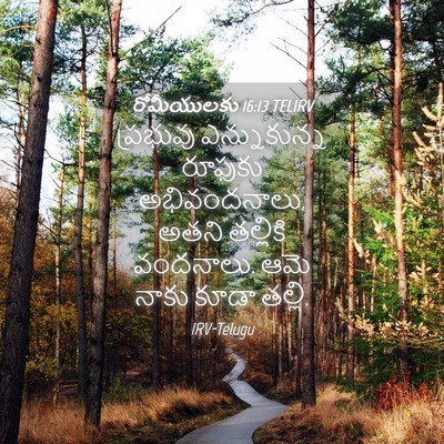 Picture 04 - రోమీయులకు 16:13 TELIRV - ప్రభువు - Bible Verse Picture