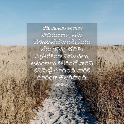 Picture 04 - రోమీయులకు 16:17 TELIRV - సోదరులారా, నేను - Bible Verse Picture