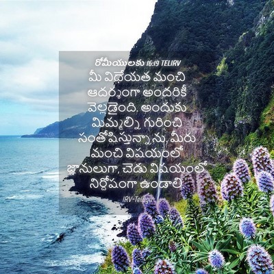 Picture 04 - రోమీయులకు 16:19 TELIRV - మీ విధేయత మంచి - Bible Verse Picture