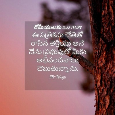 Picture 04 - రోమీయులకు 16:22 TELIRV - ఈ పత్రికను చేతితో - Bible Verse Picture
