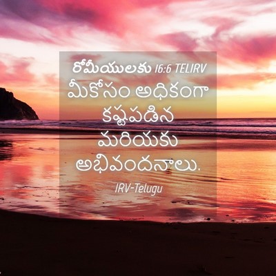 Picture 04 - రోమీయులకు 16:6 TELIRV - మీకోసం అధికంగా - Bible Verse Picture