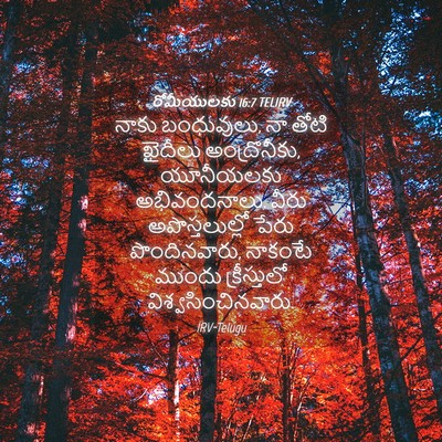Picture 04 - రోమీయులకు 16:7 TELIRV - నాకు బంధువులు, నా - Bible Verse Picture