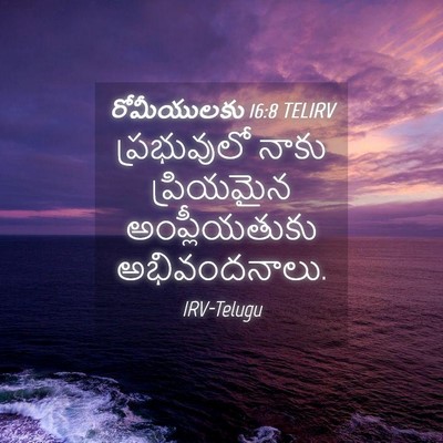 Picture 04 - రోమీయులకు 16:8 TELIRV - ప్రభువులో నాకు - Bible Verse Picture