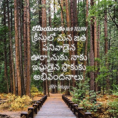 Picture 04 - రోమీయులకు 16:9 TELIRV - క్రీస్తులో మన జత - Bible Verse Picture