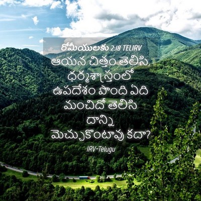 Picture 04 - రోమీయులకు 2:18 TELIRV - ఆయన చిత్తం తెలిసి, - Bible Verse Picture