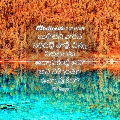 Picture 04 - రోమీయులకు 2:20 TELIRV - బుద్ధిలేని వారిని - Bible Verse Picture