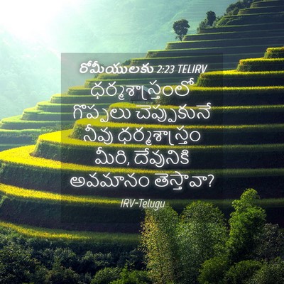 Picture 04 - రోమీయులకు 2:23 TELIRV - ధర్మశాస్త్రంలో - Bible Verse Picture