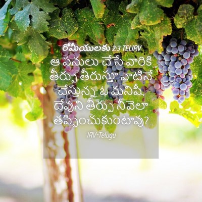 Picture 04 - రోమీయులకు 2:3 TELIRV - ఆ పనులు చేసే - Bible Verse Picture