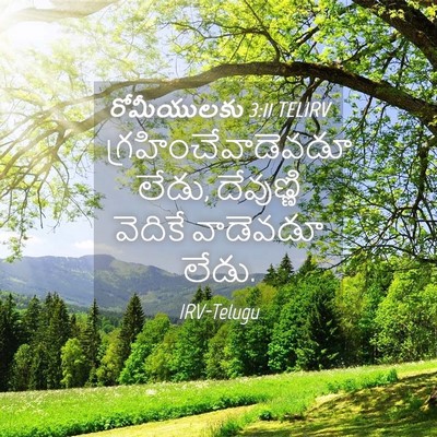 Picture 04 - రోమీయులకు 3:11 TELIRV - గ్రహించేవాడెవడూ - Bible Verse Picture