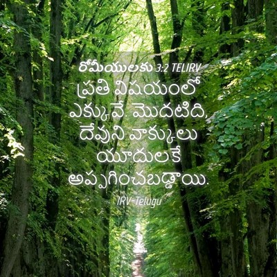 Picture 04 - రోమీయులకు 3:2 TELIRV - ప్రతి విషయంలో - Bible Verse Picture