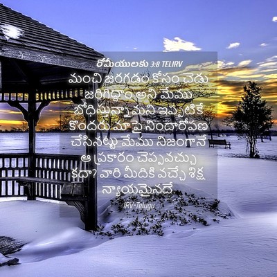 Picture 04 - రోమీయులకు 3:8 TELIRV - మంచి జరగడం కోసం - Bible Verse Picture
