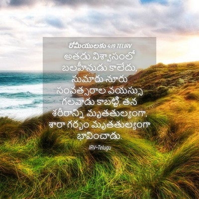 Picture 04 - రోమీయులకు 4:19 TELIRV - అతడు విశ్వాసంలో - Bible Verse Picture