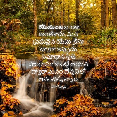 Picture 04 - రోమీయులకు 5:11 TELIRV - అంతేకాదు, మన - Bible Verse Picture