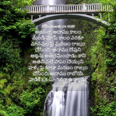 Picture 04 - రోమీయులకు 5:14 TELIRV - అయినా, ఆదాము కాలం - Bible Verse Picture