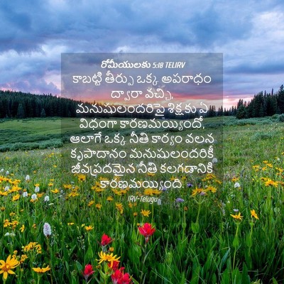 Picture 04 - రోమీయులకు 5:18 TELIRV - కాబట్టి తీర్పు - Bible Verse Picture