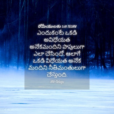 Picture 04 - రోమీయులకు 5:19 TELIRV - ఎందుకంటే ఒకడి - Bible Verse Picture