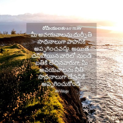 Picture 04 - రోమీయులకు 6:13 TELIRV - మీ అవయవాలను - Bible Verse Picture
