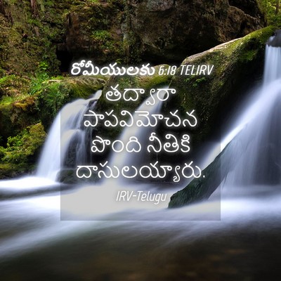 Picture 04 - రోమీయులకు 6:18 TELIRV - తద్వారా పాపవిమోచన - Bible Verse Picture