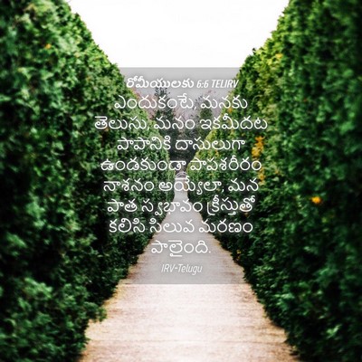 Picture 04 - రోమీయులకు 6:6 TELIRV - ఎందుకంటే, మనకు - Bible Verse Picture