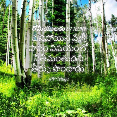 Picture 04 - రోమీయులకు 6:7 TELIRV - చనిపోయిన వ్యక్తి - Bible Verse Picture