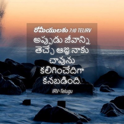 Picture 04 - రోమీయులకు 7:10 TELIRV - అప్పుడు జీవాన్ని - Bible Verse Picture