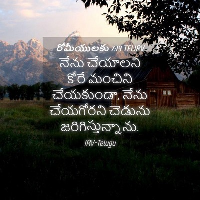Picture 04 - రోమీయులకు 7:19 TELIRV - నేను చేయాలని కోరే - Bible Verse Picture
