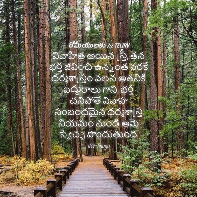 Picture 04 - రోమీయులకు 7:2 TELIRV - వివాహిత అయిన - Bible Verse Picture